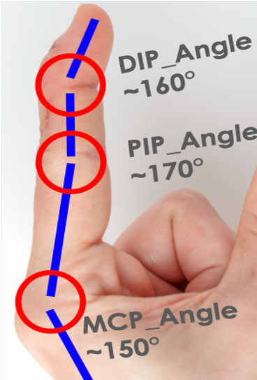 Constructed & modified